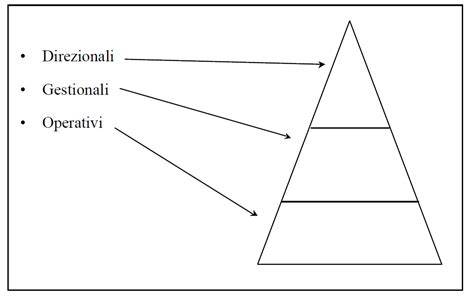 la piramide di anthony è stata creata con l'obiettivo di classificare 